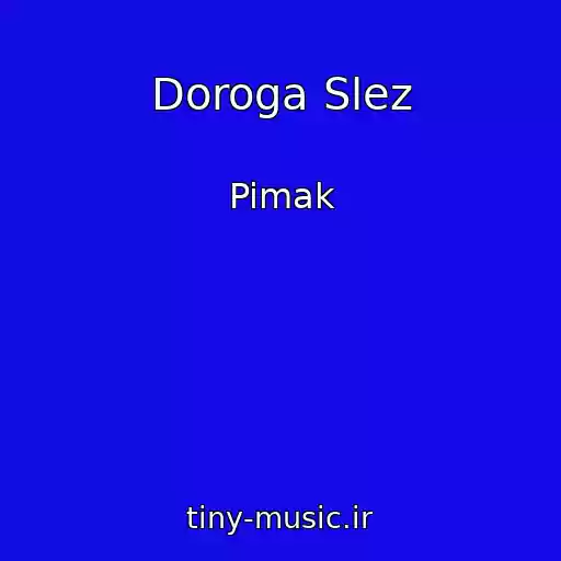 کاور آهنگ Doroga Slez از Pimak
