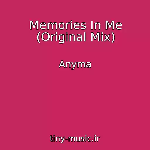 کاور آهنگ Memories In Me (Original Mix) از Anyma