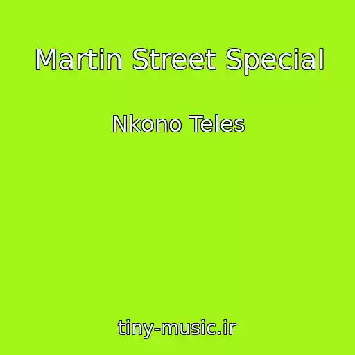کاور آهنگ Martin Street Special از Nkono Teles
