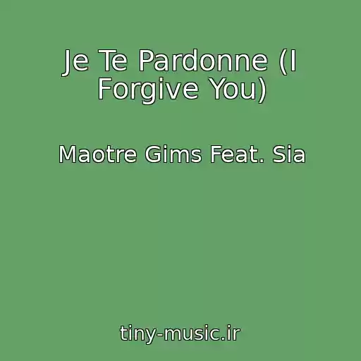 کاور آهنگ Je Te Pardonne (I Forgive You) از Maotre Gims Feat. Sia