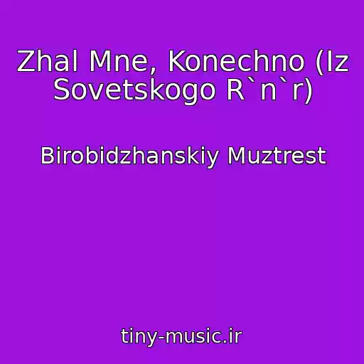 کاور آهنگ Zhal Mne, Konechno (Iz Sovetskogo R`n`r) از Birobidzhanskiy Muztrest