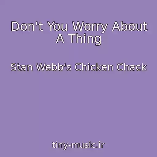 کاور آهنگ Don't You Worry About A Thing از Stan Webb's Chicken Chack