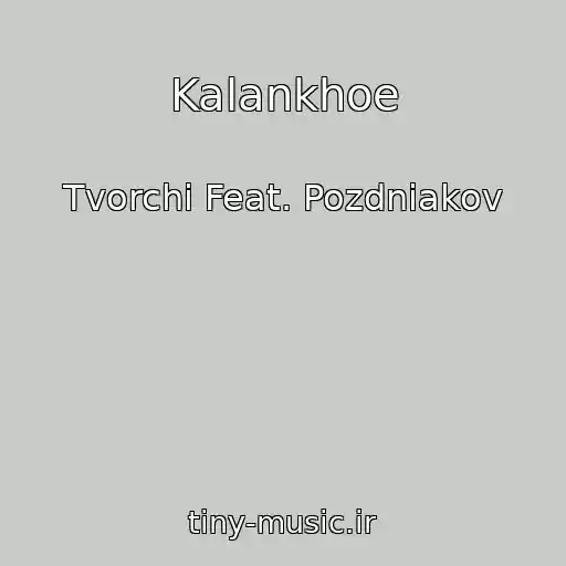کاور آهنگ Kalankhoe از Tvorchi Feat. Pozdniakov