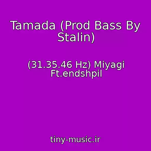 کاور آهنگ Tamada (Prod Bass By Stalin) از (31.35.46 Hz) Miyagi Ft.endshpil