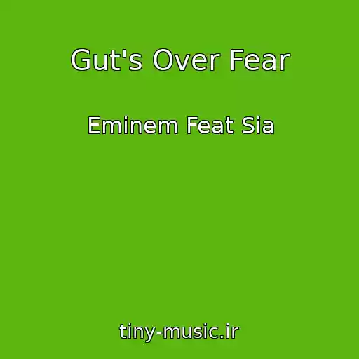 کاور آهنگ Gut's Over Fear از Eminem Feat Sia