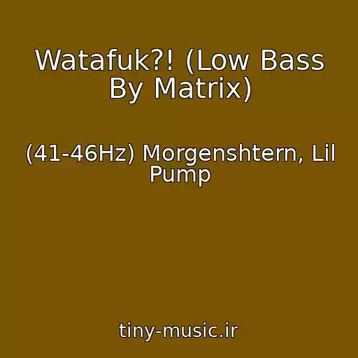 کاور آهنگ Watafuk?! (Low Bass By Matrix) از (41-46Hz) Morgenshtern, Lil Pump
