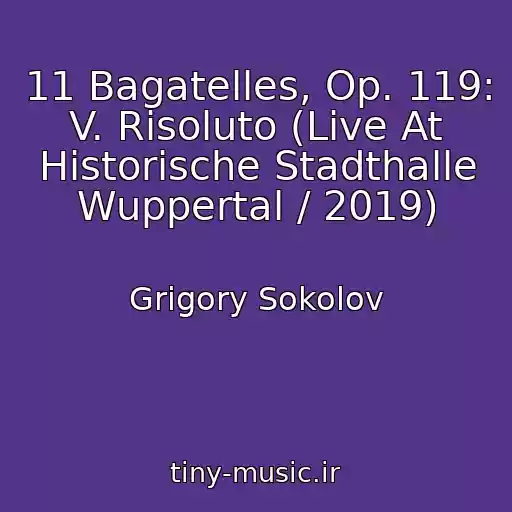 کاور آهنگ 11 Bagatelles, Op. 119: V. Risoluto (Live At Historische Stadthalle Wuppertal / 2019) از Grigory Sokolov