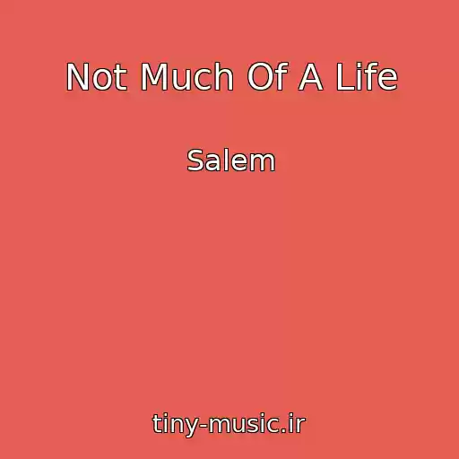 کاور آهنگ Not Much Of A Life از Salem