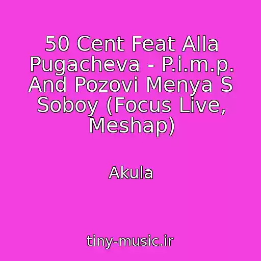 کاور آهنگ 50 Cent Feat Alla Pugacheva - P.i.m.p. And Pozovi Menya S Soboy (Focus Live, Meshap) از Akula