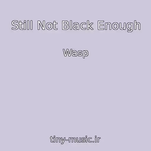 کاور آهنگ Still Not Black Enough از Wasp