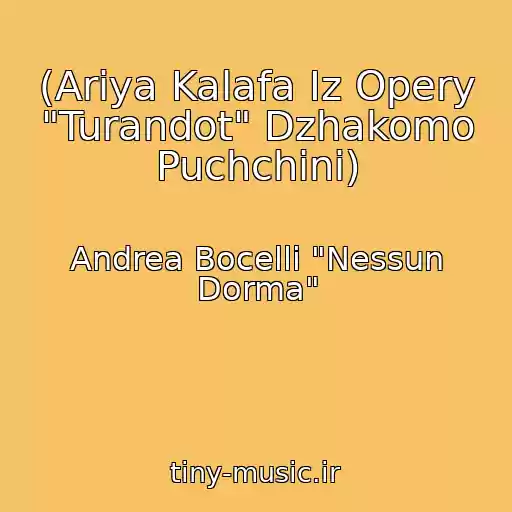 کاور آهنگ (Ariya Kalafa Iz Opery "Turandot" Dzhakomo Puchchini) از Andrea Bocelli "Nessun Dorma"