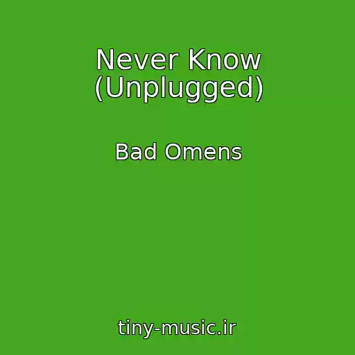 کاور آهنگ Never Know (Unplugged) از Bad Omens
