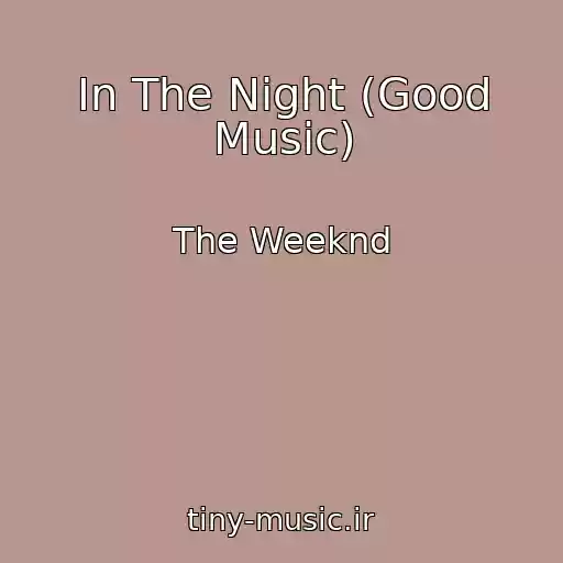 کاور آهنگ In The Night (Good Music) از The Weeknd