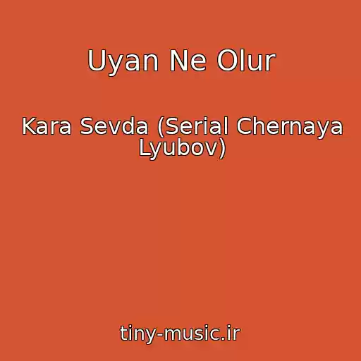 کاور آهنگ Uyan Ne Olur از Kara Sevda (Serial Chernaya Lyubov)