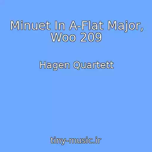 کاور آهنگ Minuet In A-Flat Major, Woo 209 از Hagen Quartett