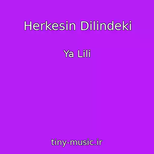 کاور آهنگ Herkesin Dilindeki از Ya Lili