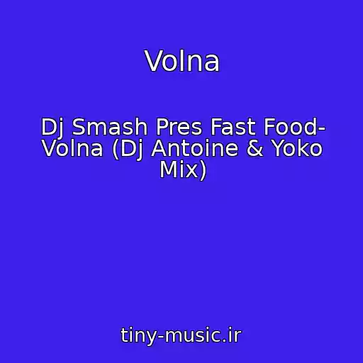 کاور آهنگ Volna از Dj Smash Pres Fast Food- Volna (Dj Antoine & Yoko Mix)