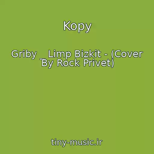 کاور آهنگ Kopy از Griby _ Limp Bizkit - (Cover By Rock Privet)
