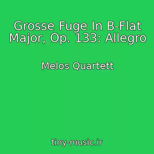 کاور آهنگ Grosse Fuge In B-Flat Major, Op. 133: Allegro از Melos Quartett