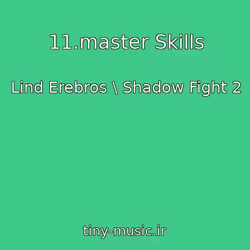 کاور آهنگ 11.master Skills از Lind Erebros \ Shadow Fight 2