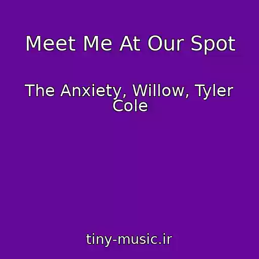 کاور آهنگ Meet Me At Our Spot از The Anxiety, Willow, Tyler Cole