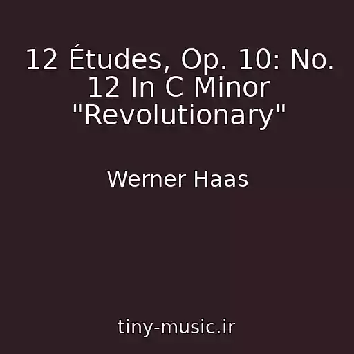 کاور آهنگ 12 Études, Op. 10: No. 12 In C Minor "Revolutionary" از Werner Haas