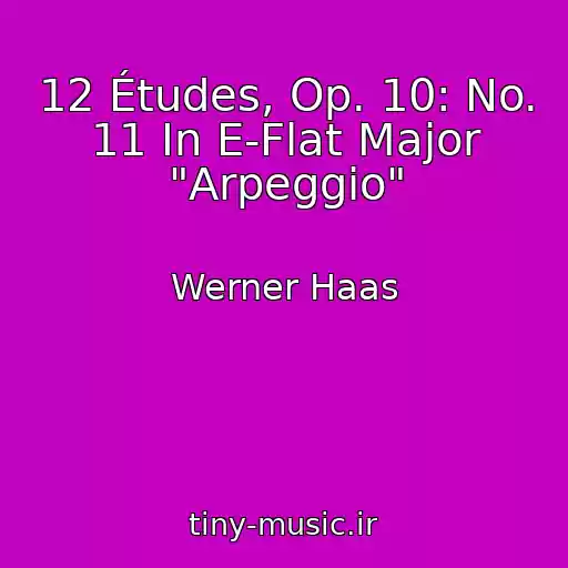 کاور آهنگ 12 Études, Op. 10: No. 11 In E-Flat Major "Arpeggio" از Werner Haas