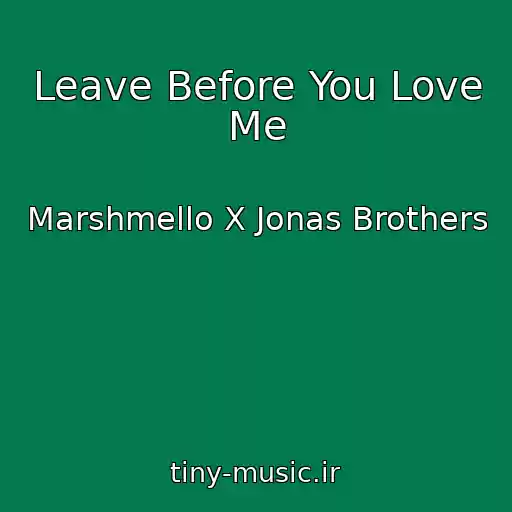 کاور آهنگ Leave Before You Love Me از Marshmello X Jonas Brothers