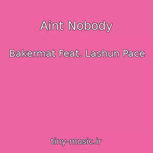 کاور آهنگ Aint Nobody از Bakermat Feat. Lashun Pace