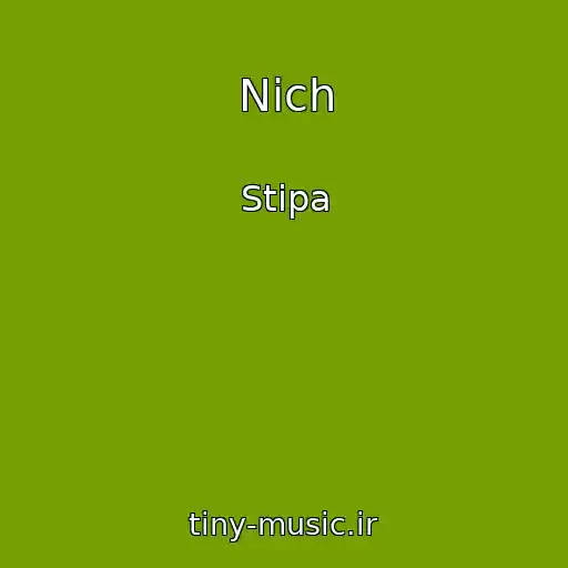 کاور آهنگ Nіch از Stipa