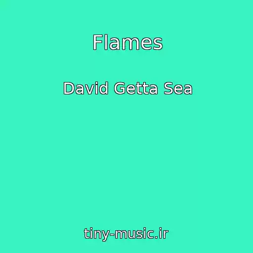 کاور آهنگ Flames از David Getta Sea