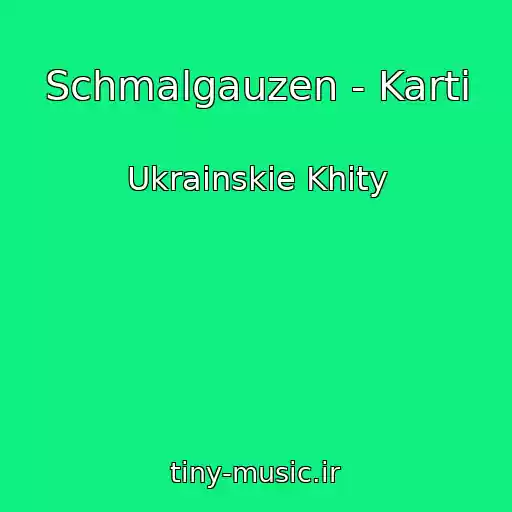 کاور آهنگ Schmalgauzen - Karti از Ukrainskie Khity