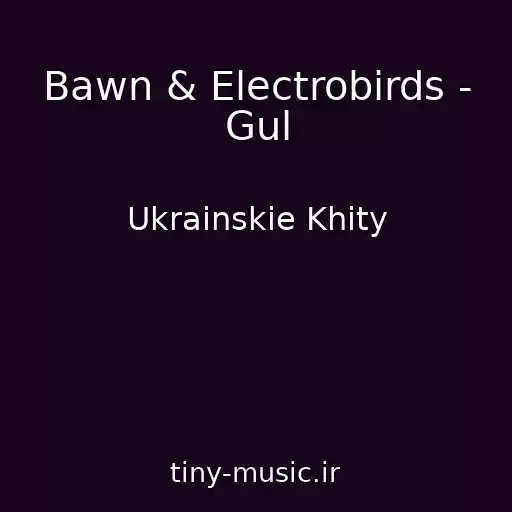 کاور آهنگ Bawn & Electrobirds - Gul از Ukrainskie Khity