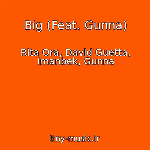 کاور آهنگ Big (Feat. Gunna) از Rita Ora, David Guetta, Imanbek, Gunna