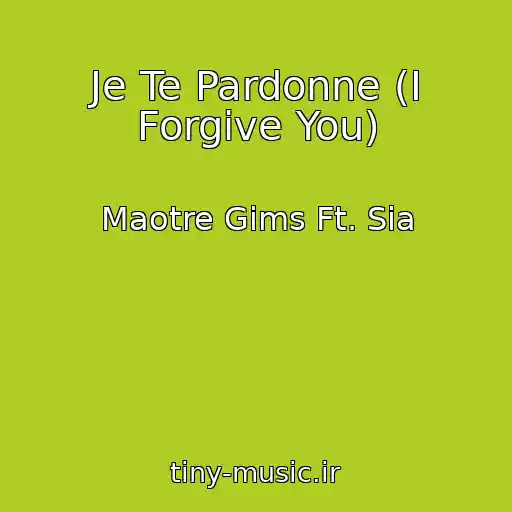 کاور آهنگ Je Te Pardonne (I Forgive You) از Maotre Gims Ft. Sia