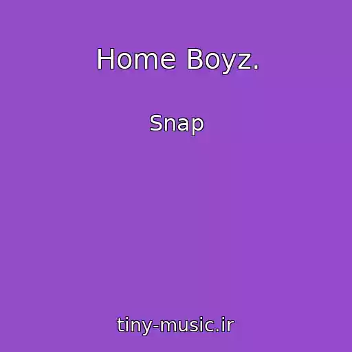 کاور آهنگ Home Boyz. از Snap