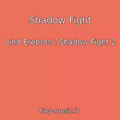 کاور آهنگ Shadow Fight از Lind Erebros \ Shadow Fight 2