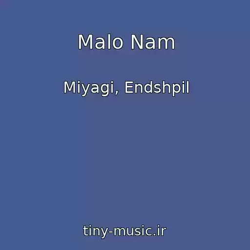 کاور آهنگ Malo Nam از Miyagi, Endshpil