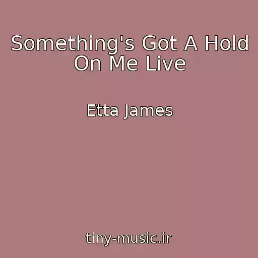 کاور آهنگ Something's Got A Hold On Me Live از Etta James