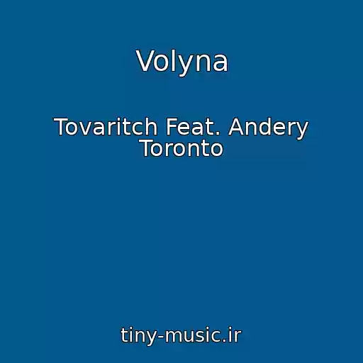 کاور آهنگ Volyna از Tovaritch Feat. Andery Toronto