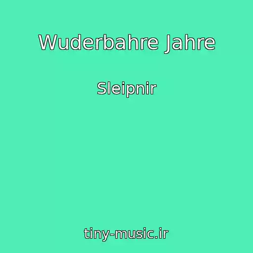 کاور آهنگ Wuderbahre Jahre از Sleipnir