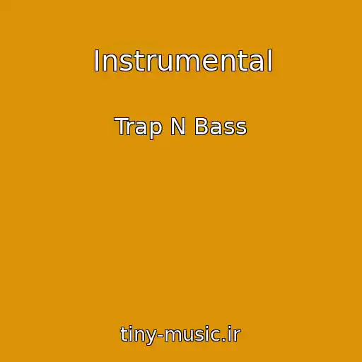 کاور آهنگ Instrumental از Trap N Bass