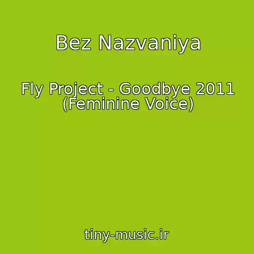 کاور آهنگ Bez Nazvaniya از Fly Project - Goodbye 2011 (Feminine Voice)