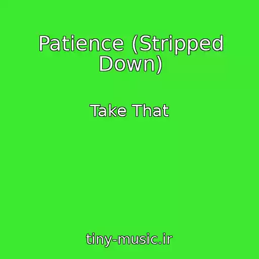 کاور آهنگ Patience (Stripped Down) از Take That