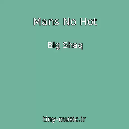 کاور آهنگ Mans No Hot از Big Shaq