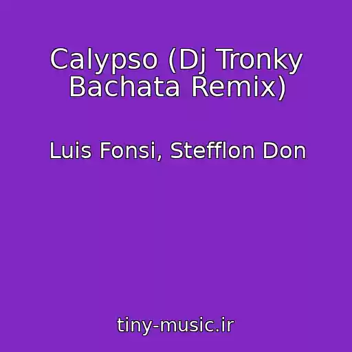 کاور آهنگ Calypso (Dj Tronky Bachata Remix) از Luis Fonsi, Stefflon Don
