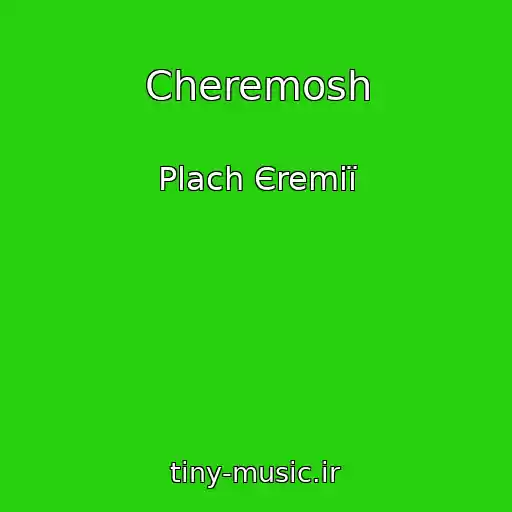 کاور آهنگ Cheremosh از Plach Єremії