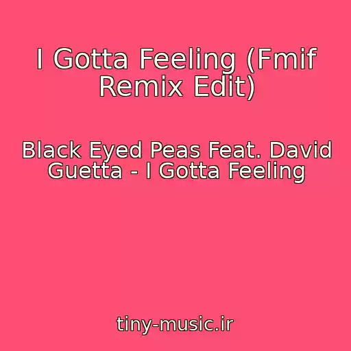 کاور آهنگ I Gotta Feeling (Fmif Remix Edit) از Black Eyed Peas Feat. David Guetta - I Gotta Feeling