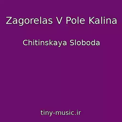 کاور آهنگ Zagorelas V Pole Kalina از Chitinskaya Sloboda