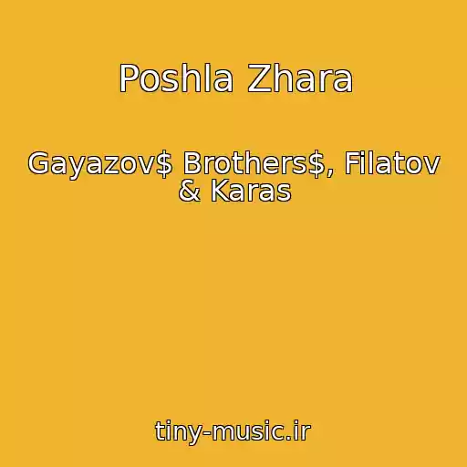 کاور آهنگ Poshla Zhara از Gayazov$ Brothers$, Filatov & Karas